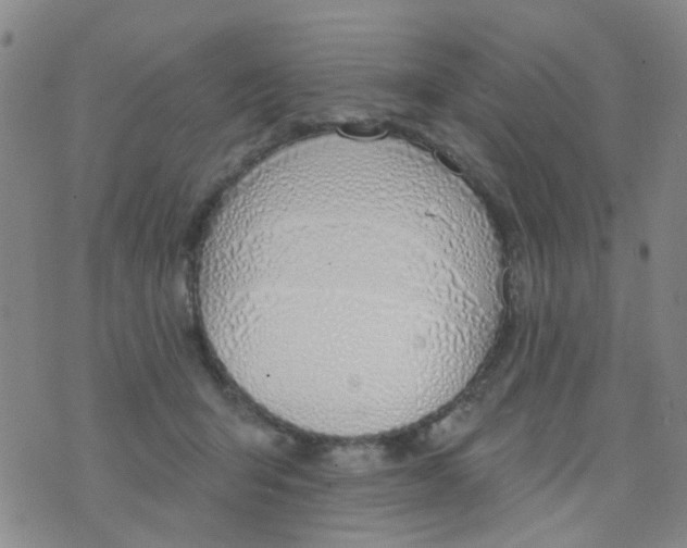 X0000076400415200610202135