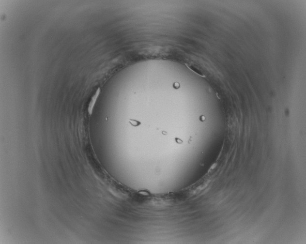 X0000076400416200610202135