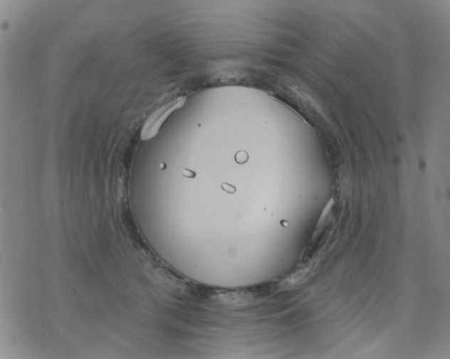 X0000076400417200610202135