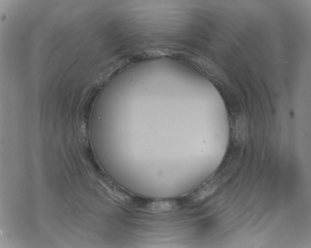 X0000076400418200610202135