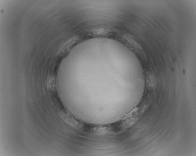 X0000076400419200610202135