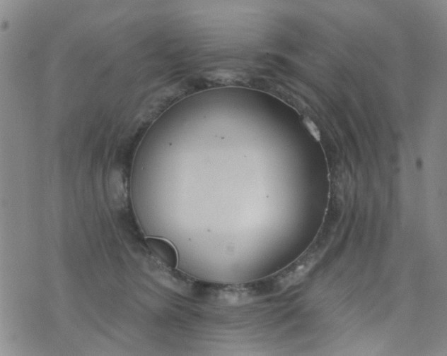 X0000076400420200610202135