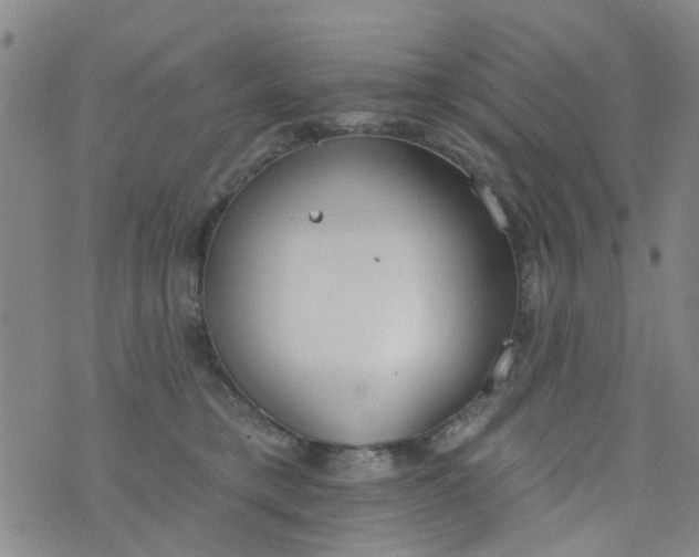 X0000076400421200610202135