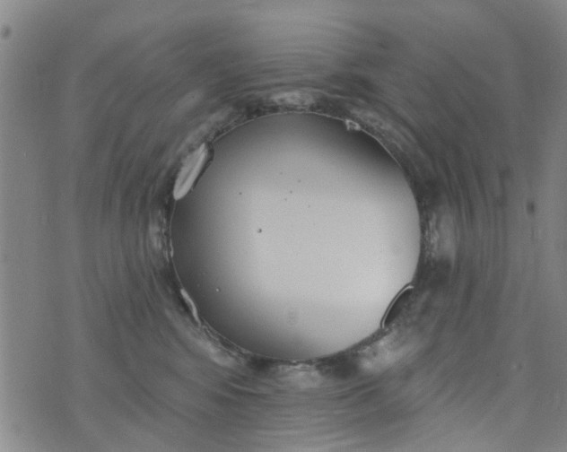 X0000076400424200610202135