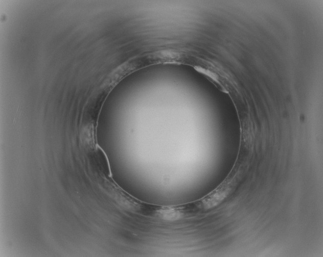 X0000076400425200610202135