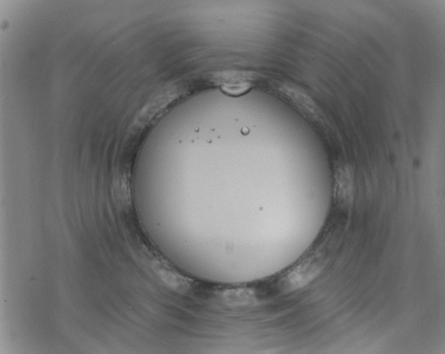 X0000076400426200610202135