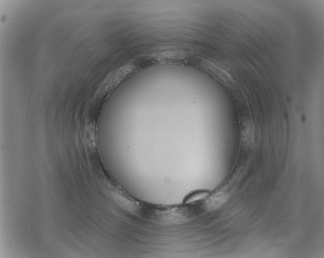 X0000076400430200610202135