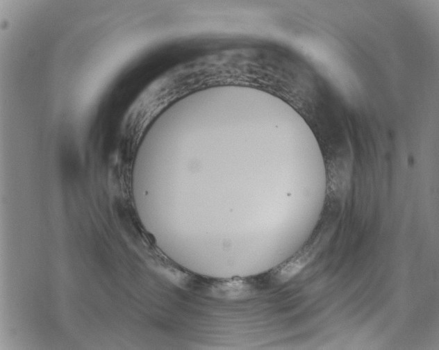 X0000076400431200610202135