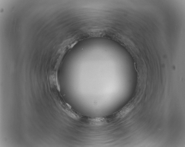 X0000076400432200610202135