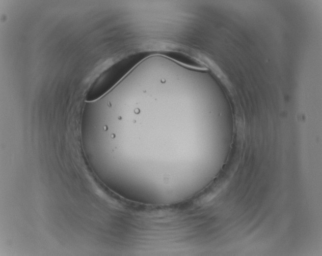 X0000076400433200610202134