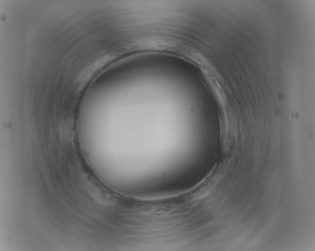 X0000076400434200610202134