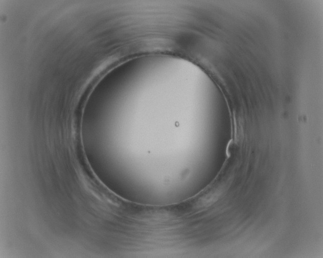 X0000076400435200610202134