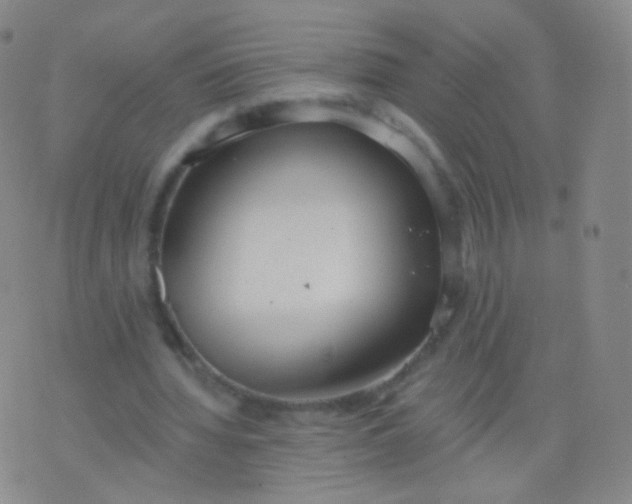 X0000076400436200610202134