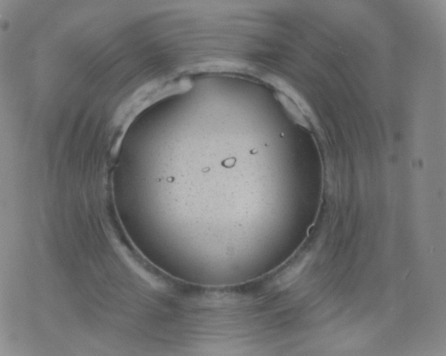 X0000076400437200610202134