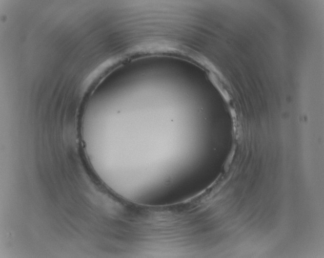 X0000076400438200610202134