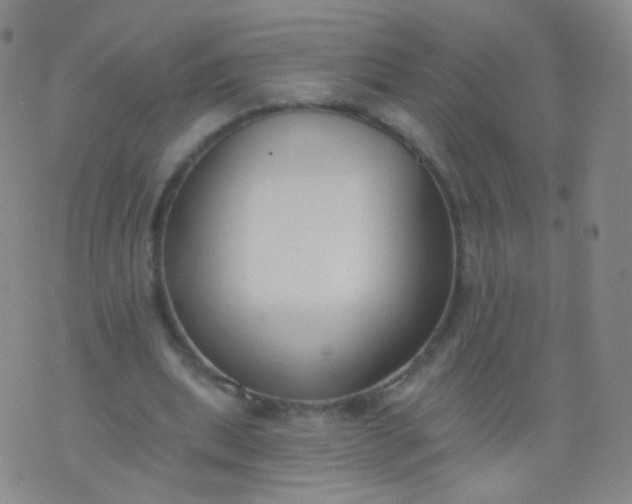 X0000076400439200610202134