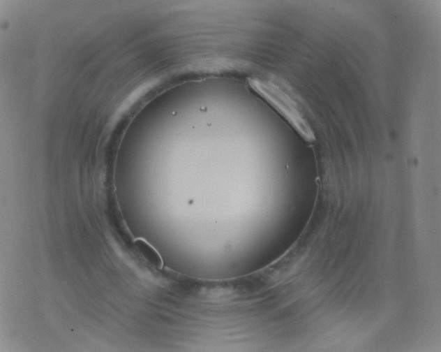 X0000076400440200610202134