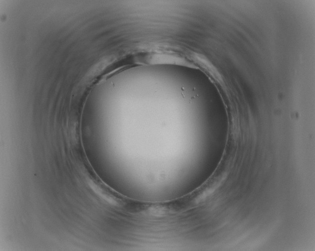 X0000076400441200610202134