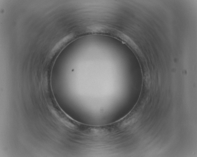 X0000076400442200610202134