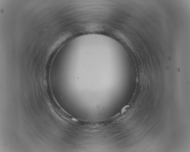 X0000076400443200610202134