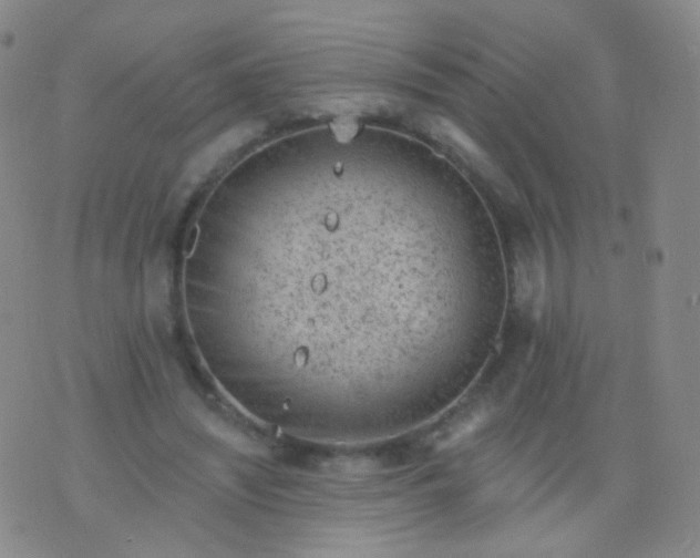 X0000076400444200610202134