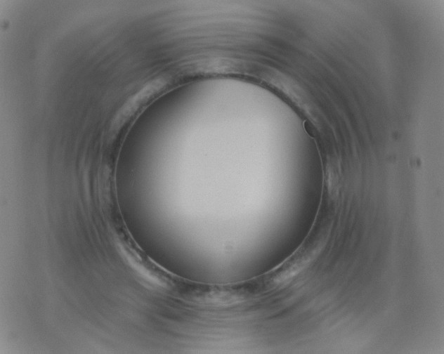 X0000076400445200610202134