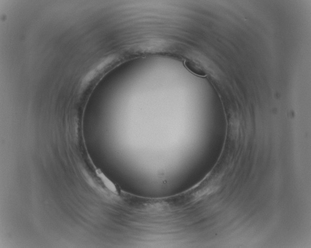 X0000076400446200610202134