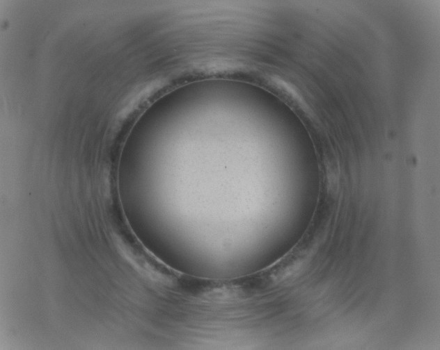 X0000076400447200610202134