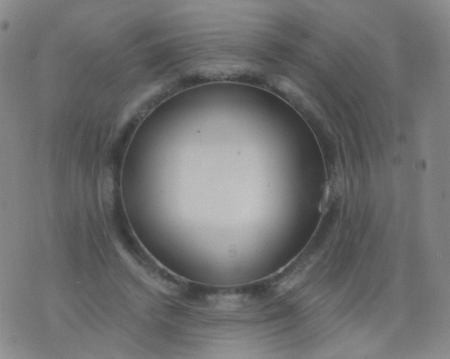 X0000076400448200610202134