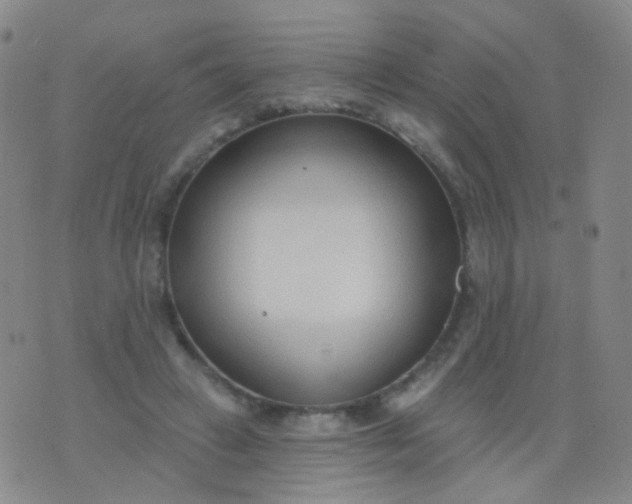 X0000076400449200610202134