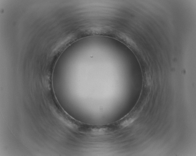 X0000076400450200610202134