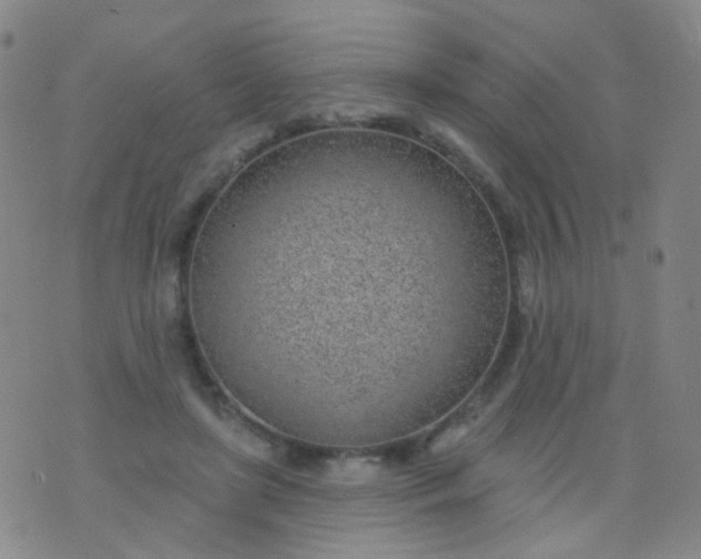 X0000076400451200610202134