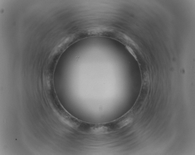 X0000076400452200610202134