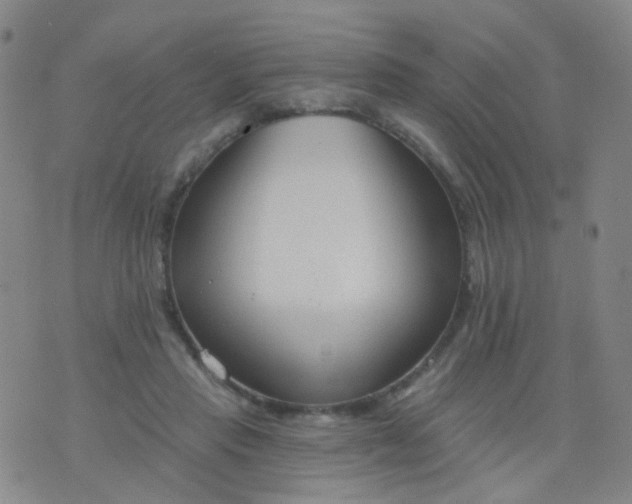 X0000076400453200610202134