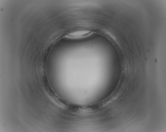 X0000076400455200610202134