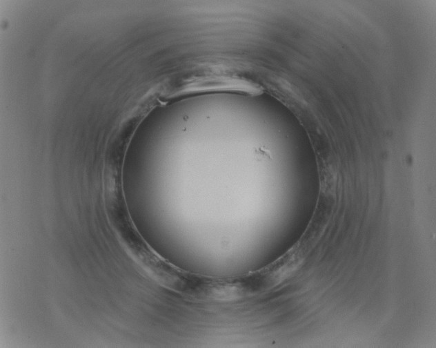 X0000076400456200610202134