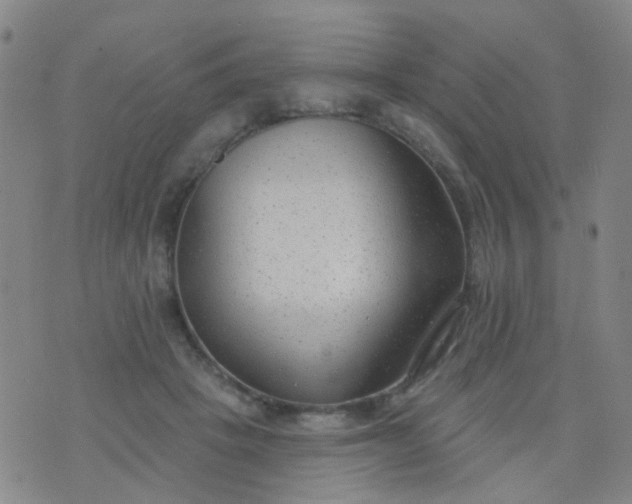 X0000076400457200610202134