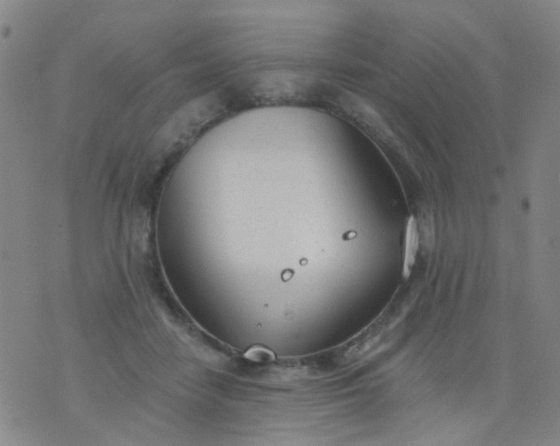 X0000076400458200610202134