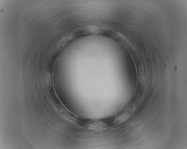 X0000076400459200610202134