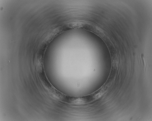 X0000076400460200610202134