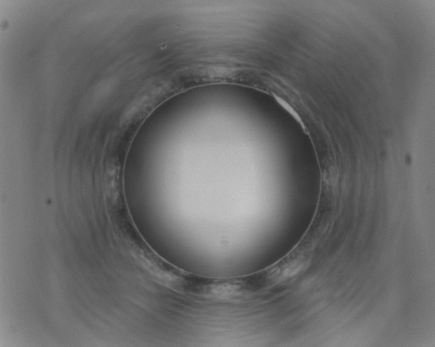 X0000076400462200610202134