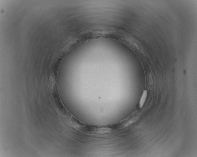 X0000076400463200610202134