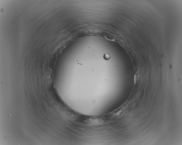 X0000076400464200610202134