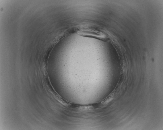 X0000076400465200610202134