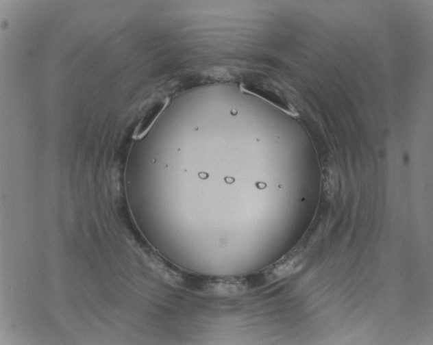 X0000076400466200610202134