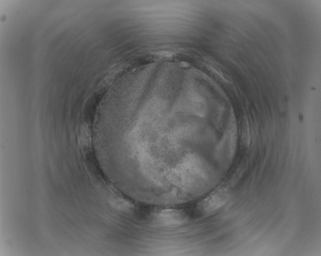 X0000076400467200610202134