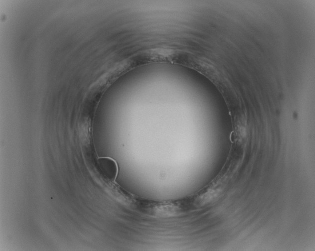 X0000076400468200610202134