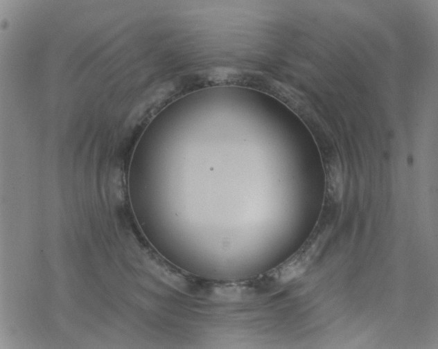 X0000076400470200610202134