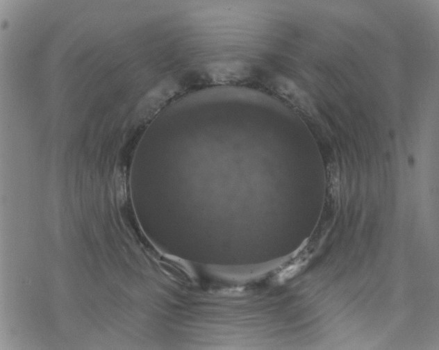 X0000076400471200610202134