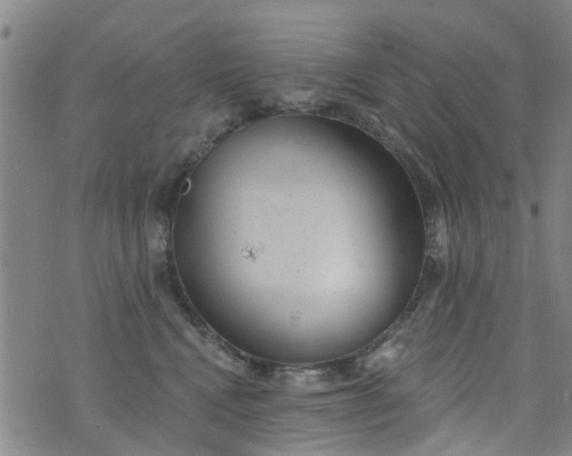 X0000076400472200610202134